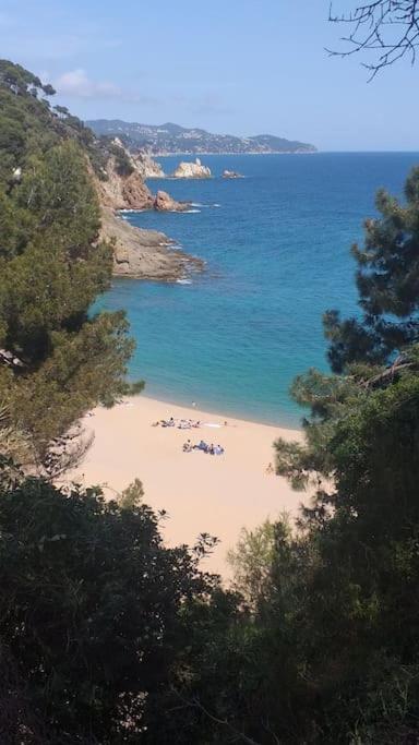 Alegre Apto Con Piscina, A 300M De La Playa. Blanes Exterior foto