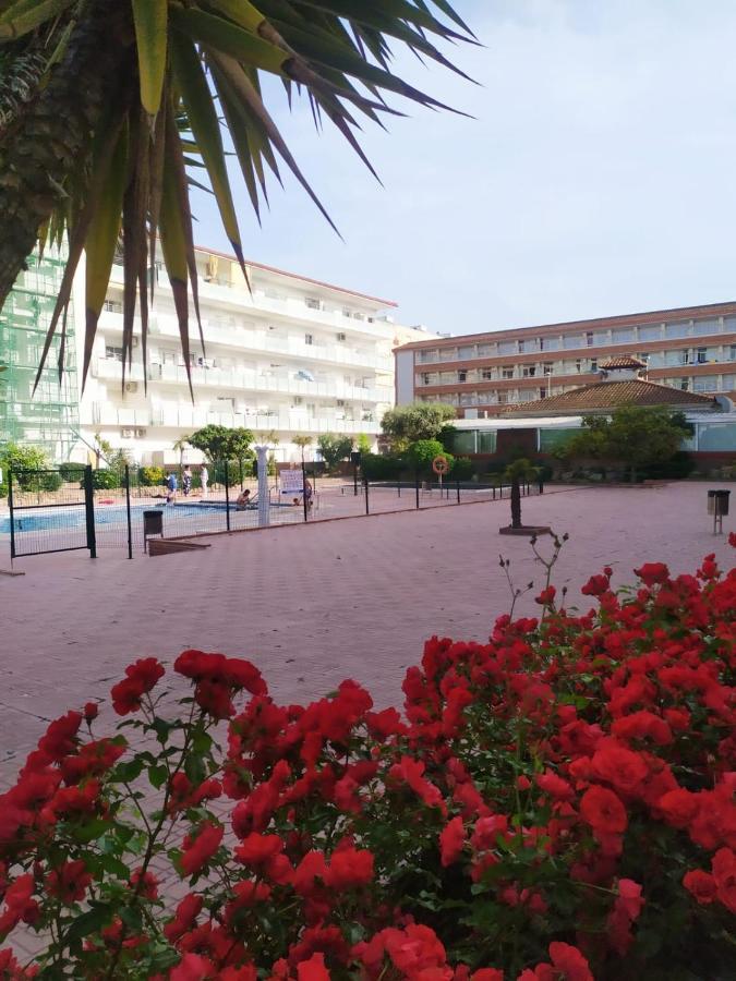 Alegre Apto Con Piscina, A 300M De La Playa. Blanes Exterior foto